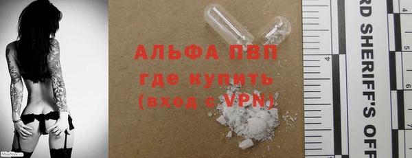 хмурый Липки