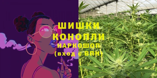 ПСИЛОЦИБИНОВЫЕ ГРИБЫ Магас