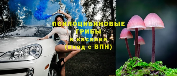 хмурый Липки