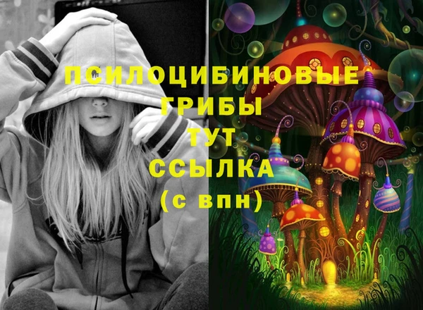 хмурый Липки