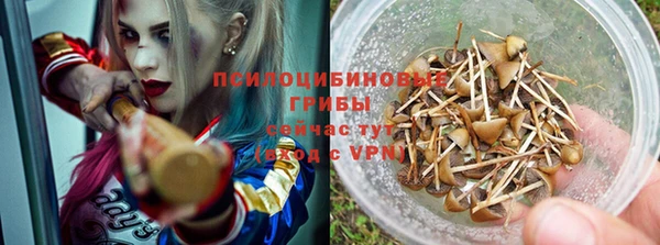 ПСИЛОЦИБИНОВЫЕ ГРИБЫ Магас
