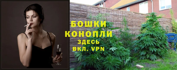 ПСИЛОЦИБИНОВЫЕ ГРИБЫ Лиски
