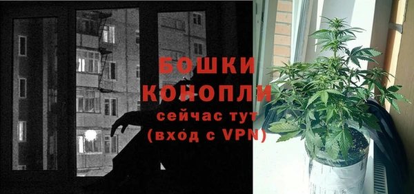 ПСИЛОЦИБИНОВЫЕ ГРИБЫ Лиски