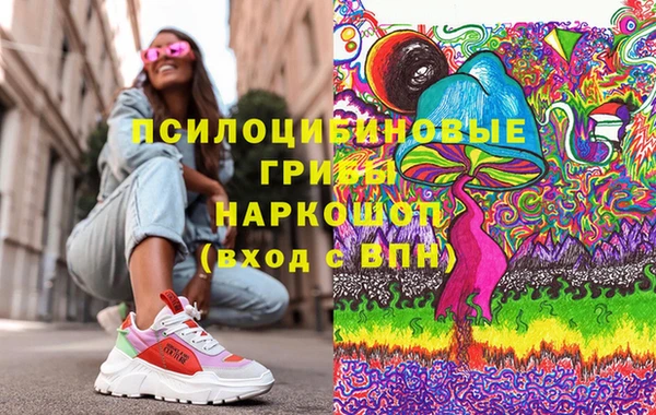 хмурый Липки