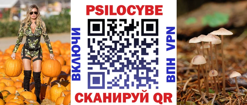 Галлюциногенные грибы прущие грибы где купить наркоту Сураж